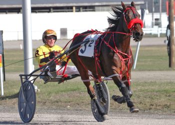 Late closers pack entry box at Cumberland