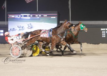 Treacherous Penny outlasts the cavalry charge