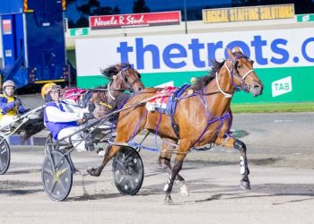 Weekly spotlight on breeding