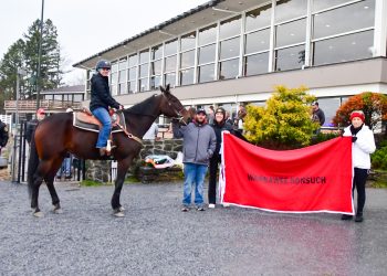 Saratoga hosts retirement ceremony for racehorses