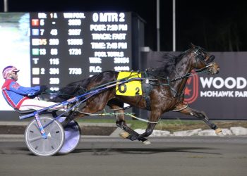 Prospect Series champ scores in Niagara