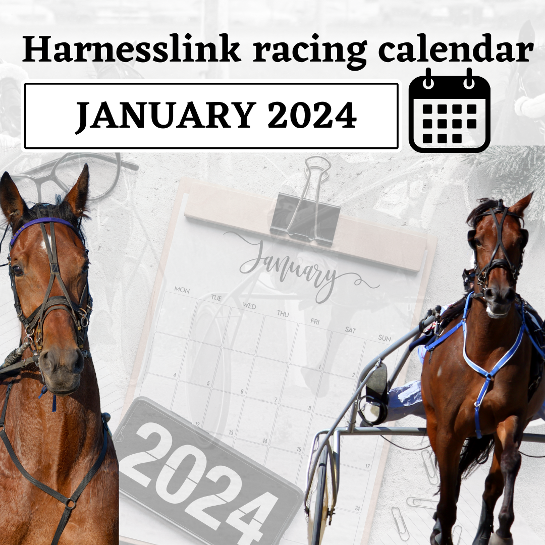 January is rife with racing Harnesslink