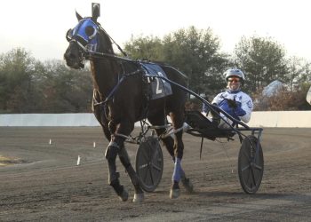 Siegelman wins four at Freehold