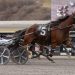 Sparrow Hanover flies in Meadows feature
