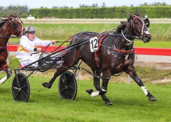 Last auction of 2023 ends Wednesday