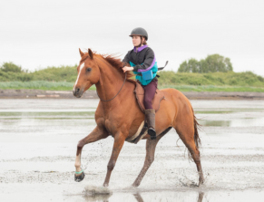 Equine Guelph announces 2023 Roger L’Heureux Memorial Equine Award winner