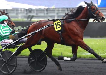 Race favorite overpowers in 120,000€ Prix de Croix