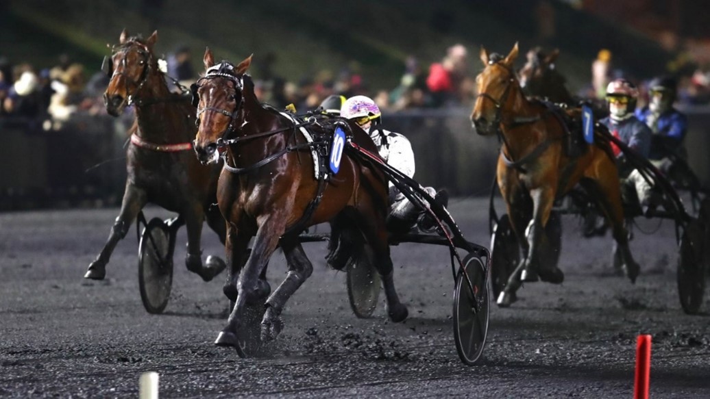 Ino du Lupin wins Prix Michel Marcel Gougeon - Harnesslink