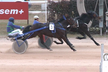 Racing action resumes at Kincsem Park