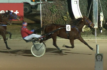 Kincsem Park celebrates New Year’s Eve