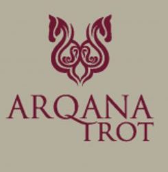 Arqana Trot hosts annual Prix d’Amerique Sale