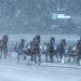 Wednesday training canceled at Mohawk 2 All Canadian tracks cancel Friday racing