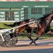 OHHA names Seaside Diva 2YO Pacing Filly of the Year