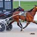 McSeaside earns back-to-back Ohio divisional honours