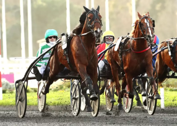 Vincennes Saturday sparkling