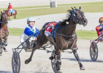 Sweet Lou filly ready to answer the tough questions