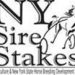 NYSS releases list of 2024 eligible stallions