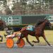 Polansky wins Freehold AHDC trot