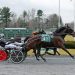 Southwind Frost captures AHDC trot at Freehold