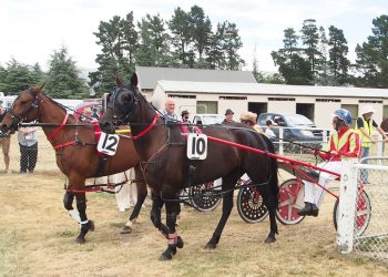 Otago stables have a strong hand at Cromwell (audio preview)