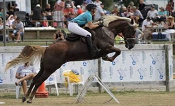 Standardbred vs Thoroughbred at Cambridge this Monday