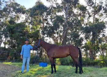 New horizons bring winning results for hobby trainer