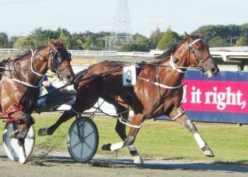 Da Vinci puts cup rivals on the canvas