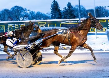 Another handle record at Batavia