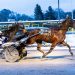 Batavia Downs winter meet begins 1 Another handle record at Batavia