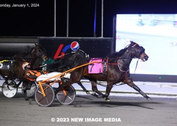 Grand slam for Dontpokethedragon