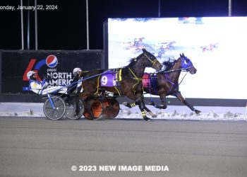 50-1 shot gives trainer first win