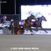 50-1 shot gives trainer first win
