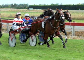 Hacksaw Ridge ready to cut loose in Riverton Cup