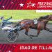 Idao De Tillard crowned $1 million Prix d’Amerique champion