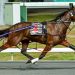 Captain Crunch colt the jewel in Taylor’s crown
