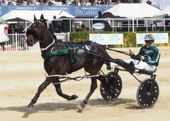 Kahlua Flybye likely favourite in Roxburgh Cup