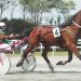 Maui reels in main trot