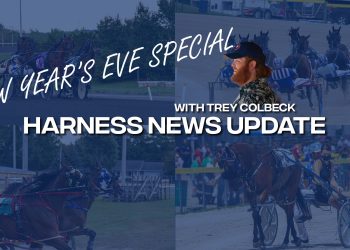 Harness News Update – New Year’s Special
