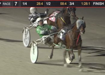 Nimble Ned finds his niche at Northfield