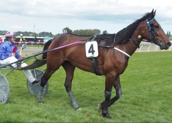 Sally well and truly paying her way