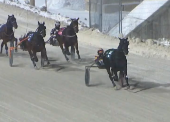 Delgado knocks out another one