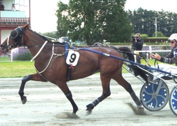 Sheza Gift on best behaviour