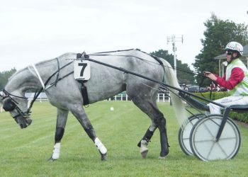 Ferguson and Williamson talk Northern Southland