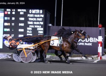 18-1 shot shocks in Preferred nailbiter