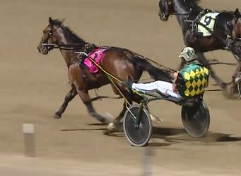 Taipo ready for Hunter Cup challenge