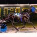 Betting mark set; Morrill wins six opening day