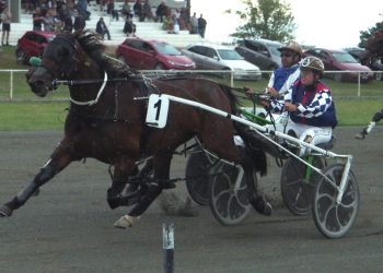 Vinita Rose wins for big group of owners