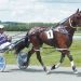 Lauren Pearson and Alister Kyle on their chances for Invercargill