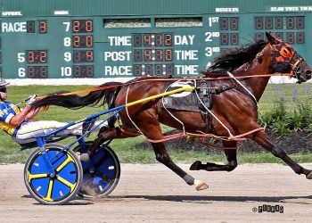 Wyatt Farmer to receive OHHA Terry Holton Youth Award
