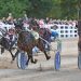 Nominations get a bump for New London Classic Sale Series 1 The Raceway announces 2023 award winners